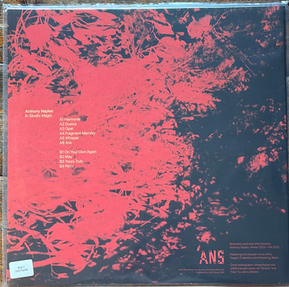 In Studio Magic (VINYL) | Mint (M) Mint (M) - AMBIENT *NEW*