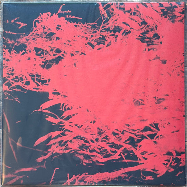 In Studio Magic (VINYL) | Mint (M) Mint (M) - AMBIENT *NEW*