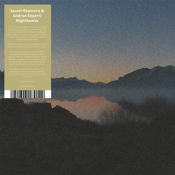 Nighthawks (VINYL) | Mint (M) Mint (M) - AMBIENT *NEW*