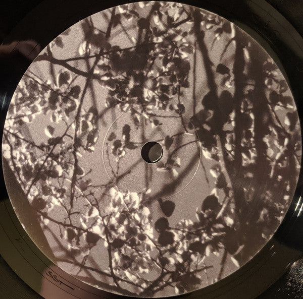 Königsforst | Mint (M) Mint (M) - AMBIENT *SEALED*