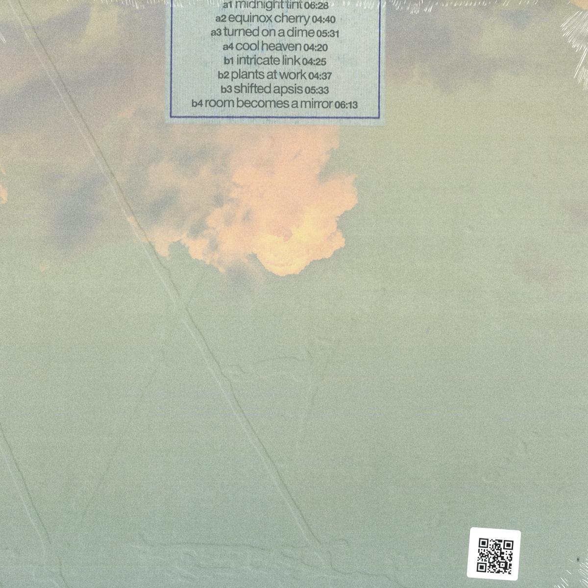 Alien D - Smoker’s Choice (VINYL LP Theory Therapy) | NEW - AMBIENT *NEW*