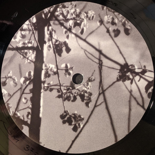 Königsforst | Mint (M) Mint (M) - AMBIENT *SEALED*