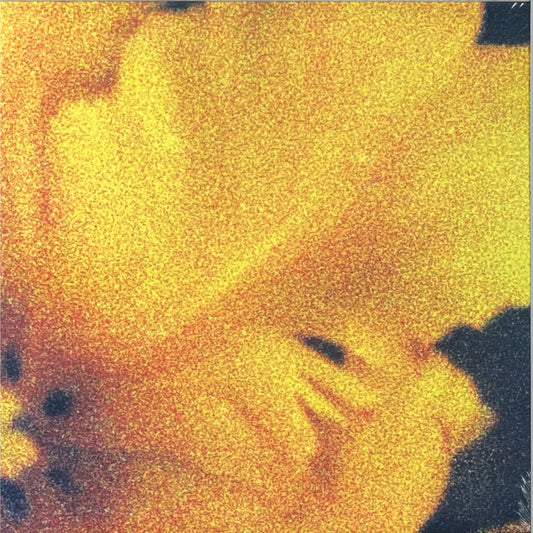 nthng - Last Light of the Sun (VINYL 2xLP topo2) | NEW - AMBIENT *NEW*