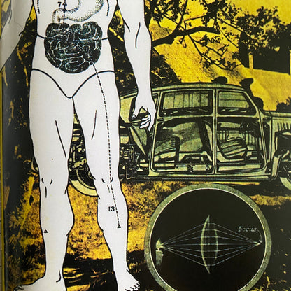 Cathedral (2xVINYL) | - AMBIENT *SEALED*