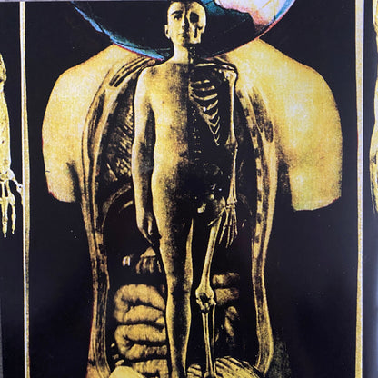 Cathedral (2xVINYL) | - AMBIENT *SEALED*