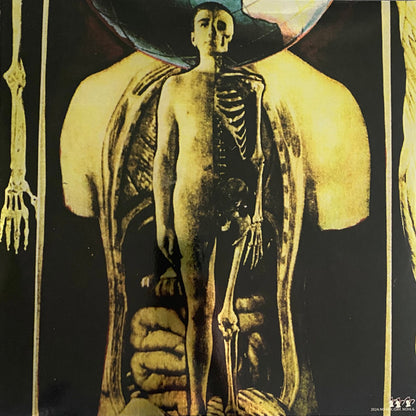 Cathedral (2xVINYL) | - AMBIENT *SEALED*