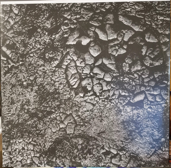 1979 (VINYL) | - AMBIENT *SEALED*