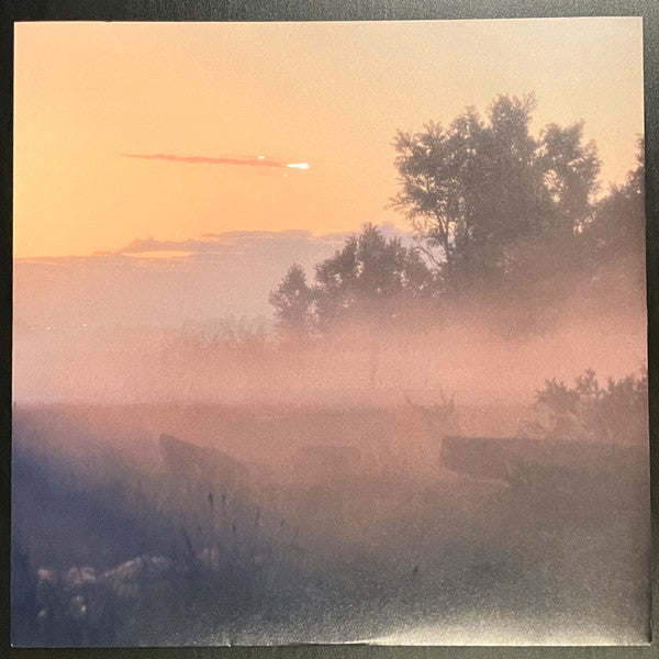 Twin Color (Vol.1)(VINYL) | Mint (M) Mint (M) - AMBIENT *SEALED*