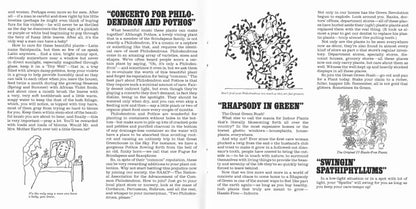 Mother Earth's Plantasia | Mint (M) Mint (M)