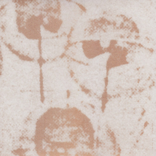 Vice - Versa, Etc. | Mint (M) Mint (M) - AMBIENT *SEALED*