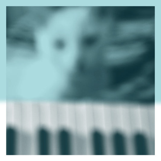 Peter Broderick - Piano Works Vol.1 (Floating In Tucker's Basement) | Mint (M) Mint (M) - AMBIENT