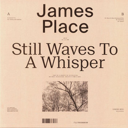 James Place Still Waves To A Whisper LP Mint (M) Mint (M)