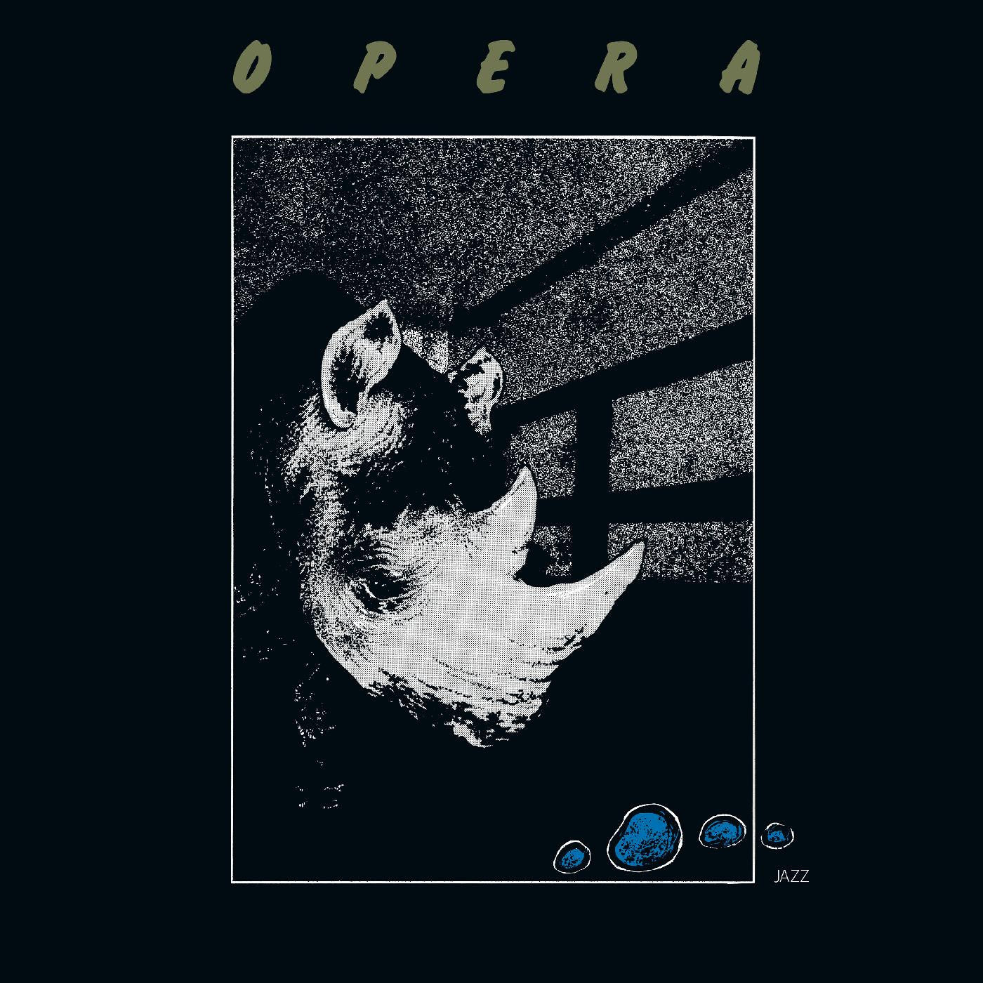 Jelić, Nenad and Laza Ristovski - Opera (Vinyl) | Mint (M) Mint (M) AMBIENT