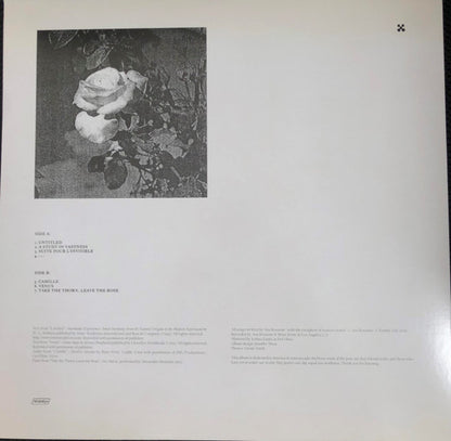 Because Of A Flower | Mint (M) Mint (M) - AMBIENT *SEALED*