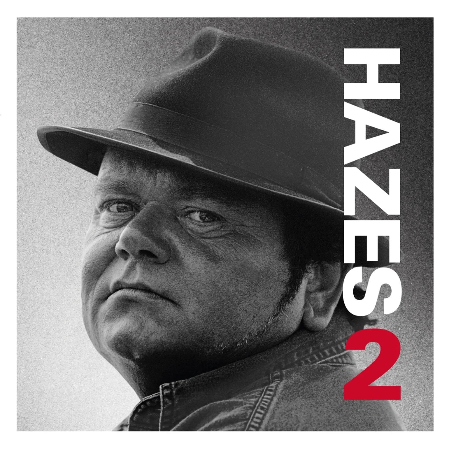 Andre Hazes - Hazes 2 [2LP] |
