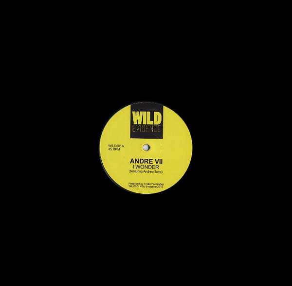 ANDRE VII - I Wonder |
