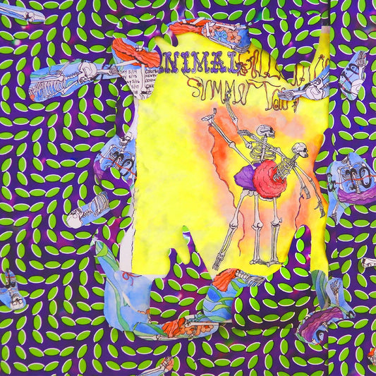 Ballet Slippers | Mint (M) Mint (M) - ALT/INDIE *SEALED*