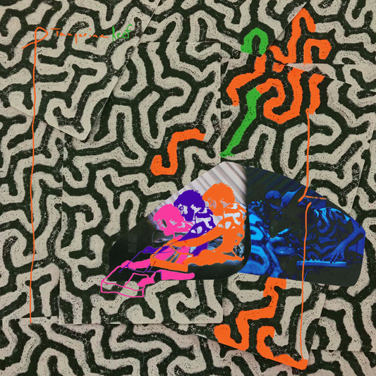 Tangerine Reef |
