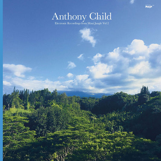 Electronic Recordings from Maui Jungle Vol. 2 |