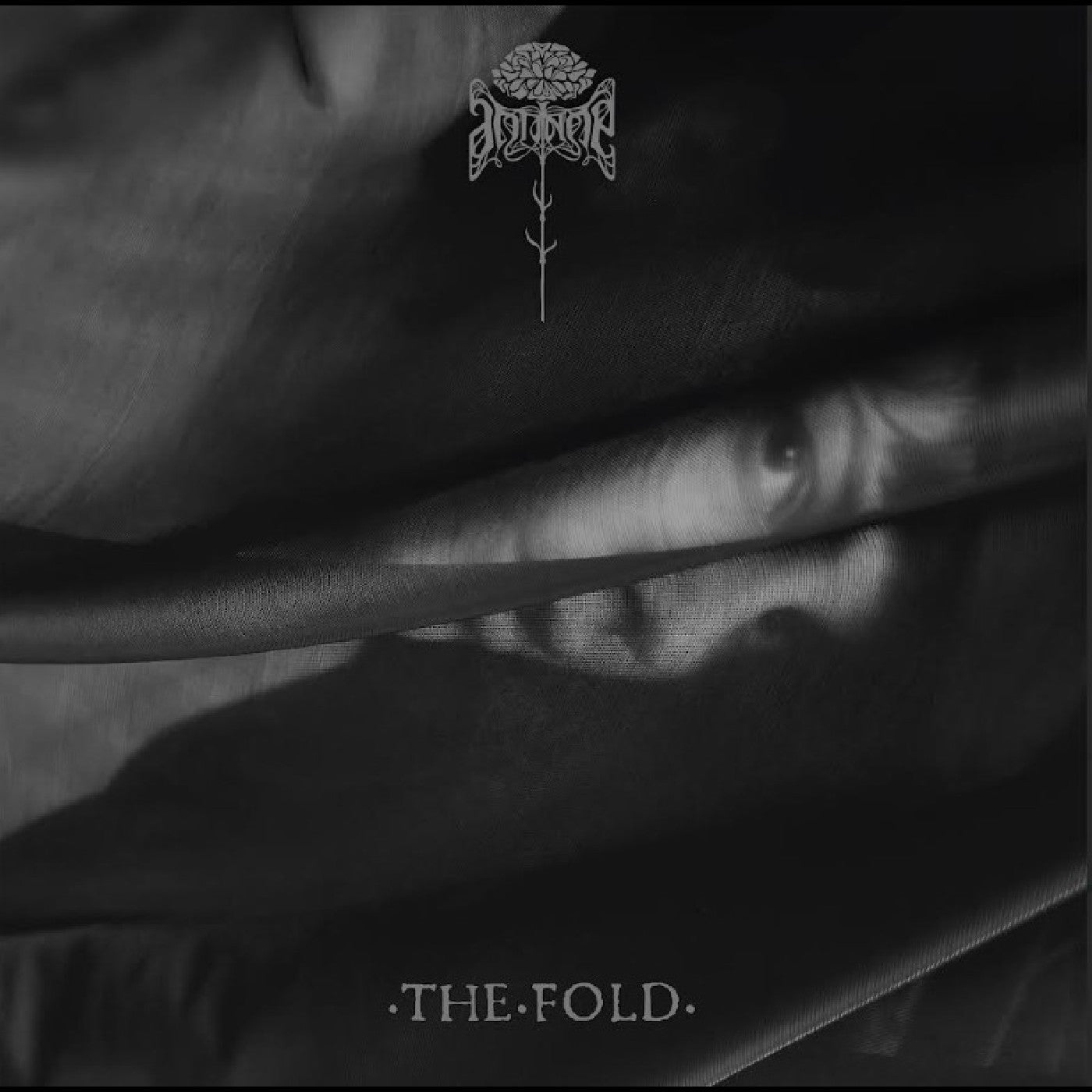 The Fold |