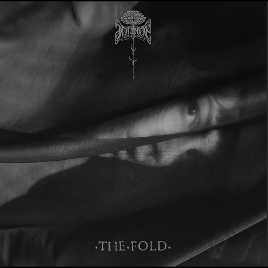 The Fold |