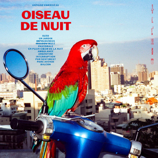 Oiseau De Nuit |
