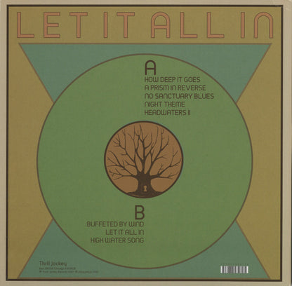 Let It All In | Mint (M) Mint (M) - ALT/INDIE *SEALED/COLOR*
