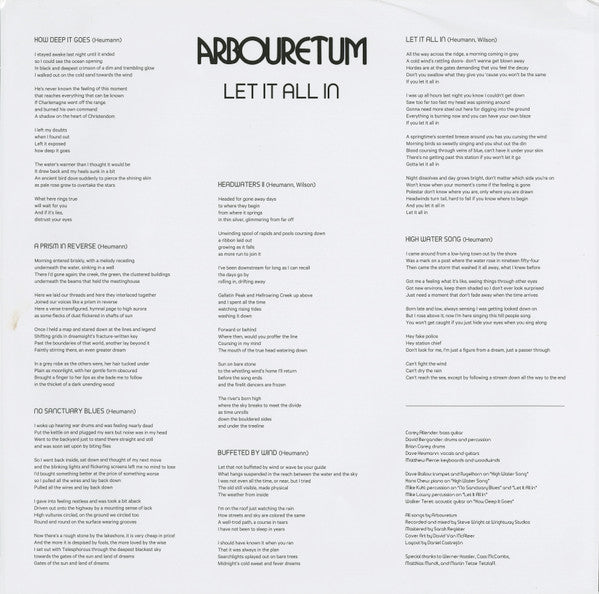 Let It All In | Mint (M) Mint (M) - ALT/INDIE *SEALED/COLOR*