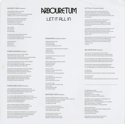 Let It All In | Mint (M) Mint (M) - ALT/INDIE *SEALED/COLOR*