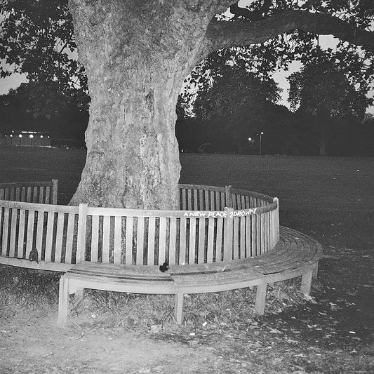 A New Place 2 Drown (Instrumentals) |