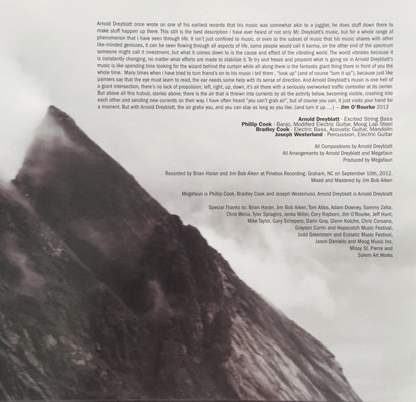 Appalachian Excitation | Mint (M) Mint (M) - EXPERIMENTAL *SEALED*