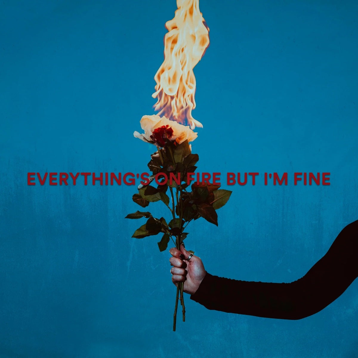 Everything's On Fire But I'm Fine [Explicit Content] (Red Marble Colored Vinyl) |