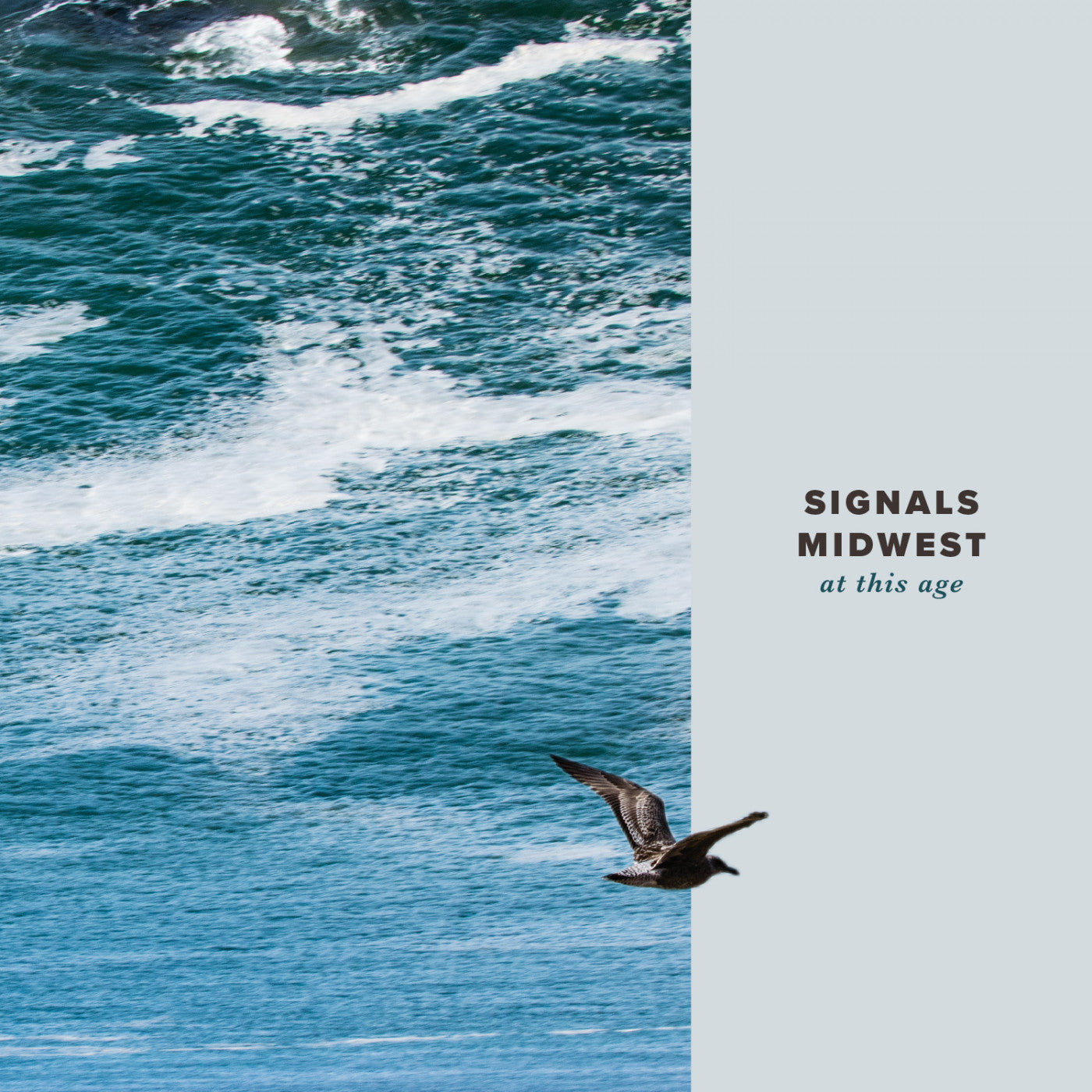 Signals Midwest - At This Age (CD) |