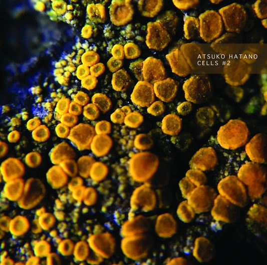 Cells #2 |