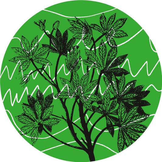 AUNTIE FLO - Brasil Novas Frequencias |