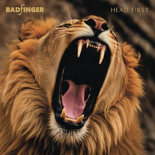 Head First: 50th Anniversary Special Edition [Import] |