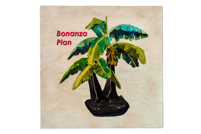 Bonanza Plan | Mint (M) Mint (M)