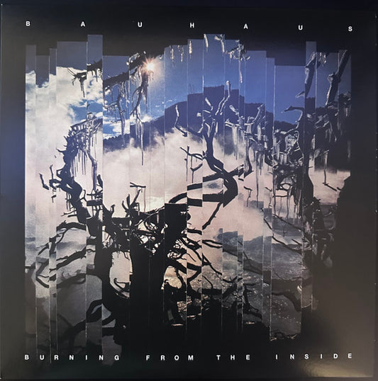 Burning From The Inside | Mint (M) Mint (M) - POST-PUNK