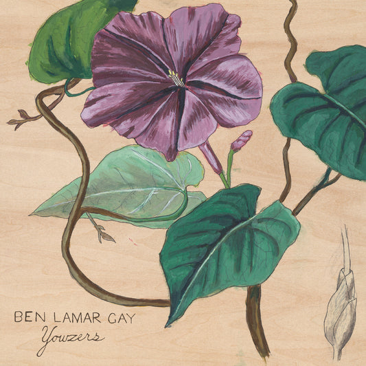 Yowzers (Ipomoea Jalapa Marble Pink Vinyl) |