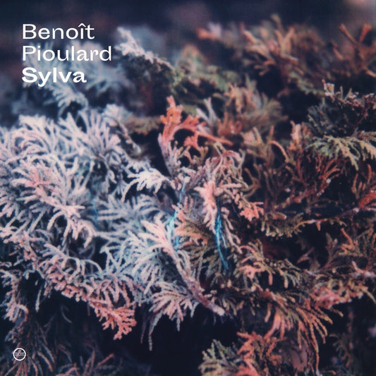 Sylva |