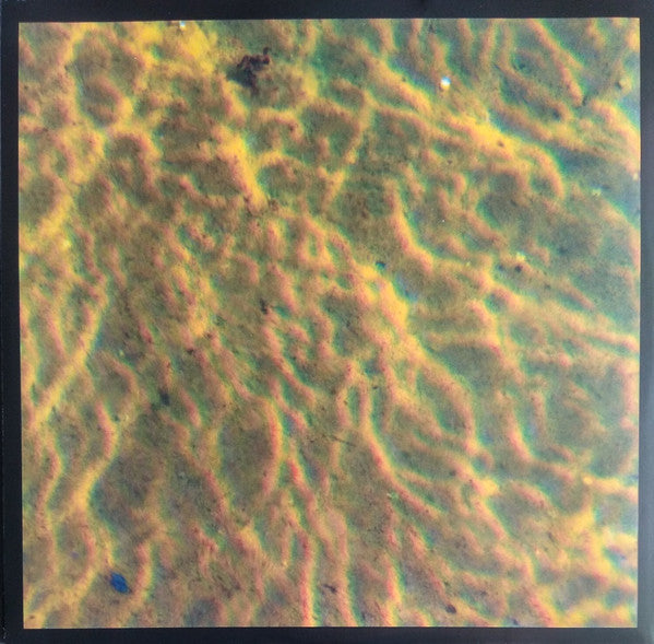 Fi | Mint (M) Mint (M) - AMBIENT