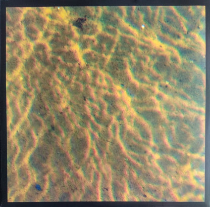 Fi | Mint (M) Mint (M) - AMBIENT
