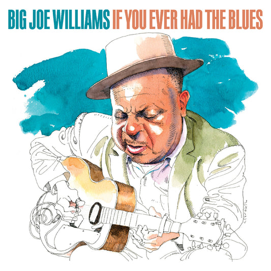 If You Ever Had The Blues |