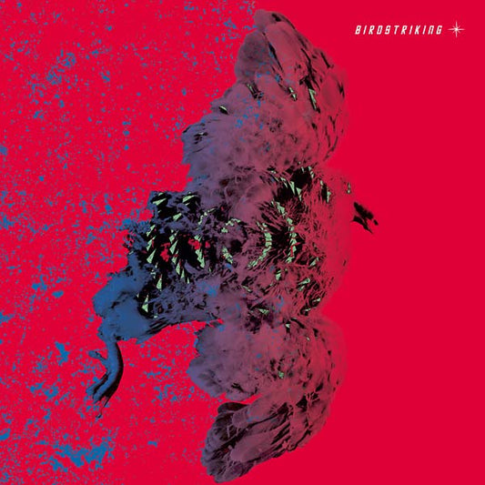 Birdstriking |