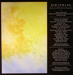 Birthmark How You Look When You're Falling Down Polyvinyl Record Company LP, Album, 180 Mint (M) Mint (M)