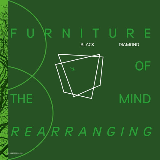 BLACK DIAMOND - Furniture Of Mind Rearranging |