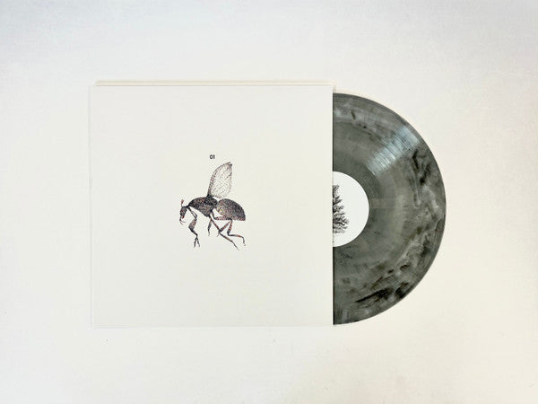 1 | Mint (M) Mint (M) - ALT/INDIE/POP *SEALED/COLOR*