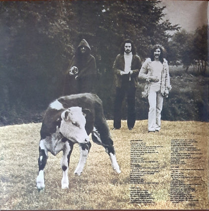 Reflections On A Life (VINYL) | Mint (M) Mint (M) - ROCK * NEW*