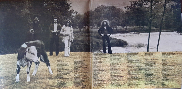 Reflections On A Life (VINYL) | Mint (M) Mint (M) - ROCK * NEW*