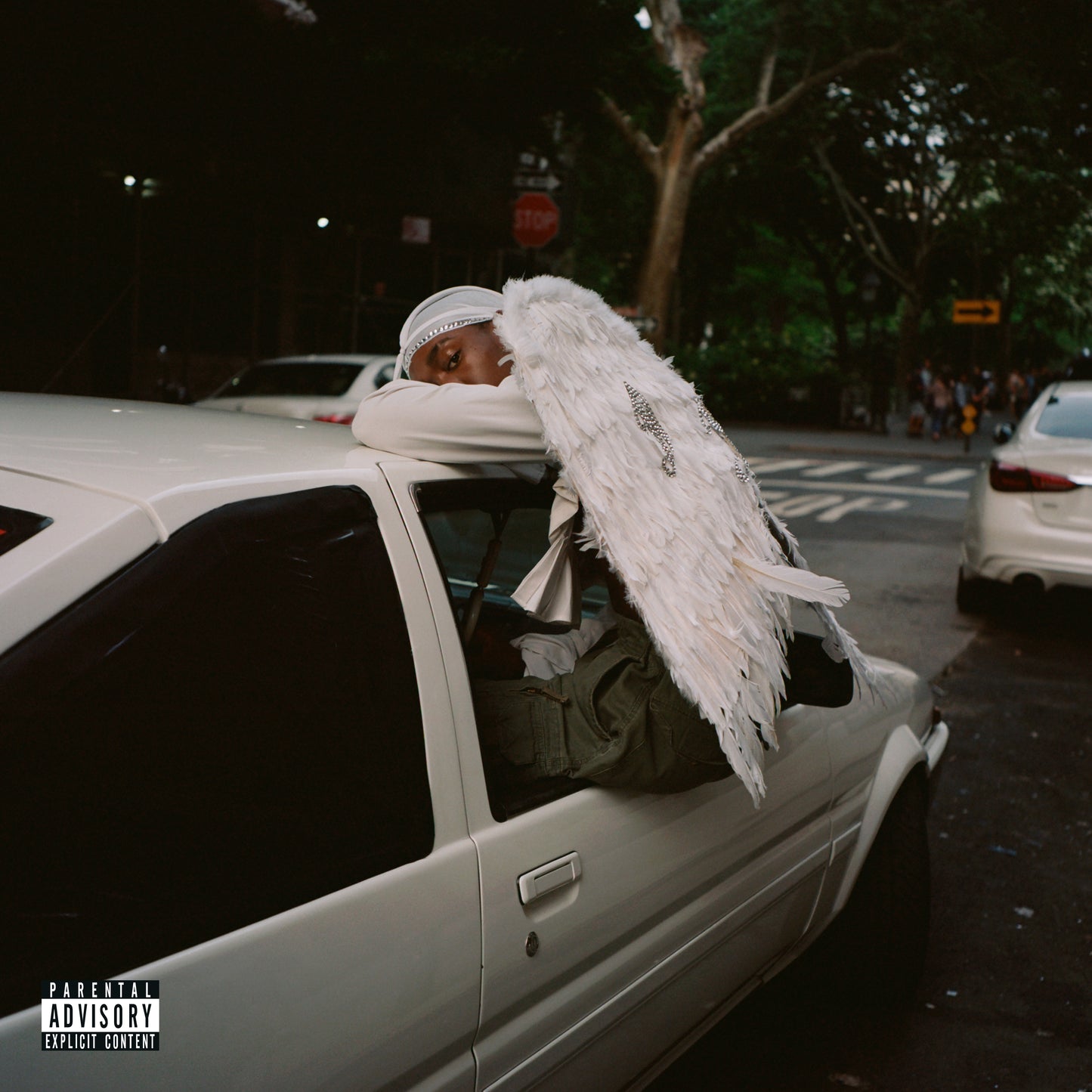 Negro Swan |